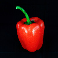 Buy canvas prints of Red Pepper by Tom McPherson