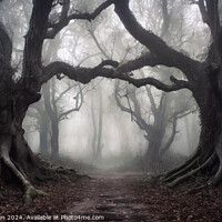 Buy canvas prints of Creepy Old Woods by Tom McPherson