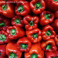 Buy canvas prints of Red Peppers by Tom McPherson