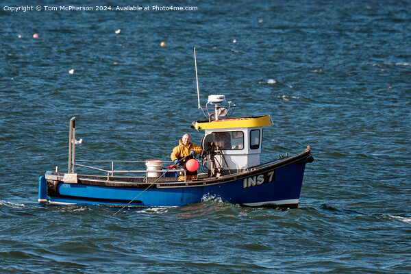 Lobster Fishing Boat Burghead Picture Board by Tom McPherson