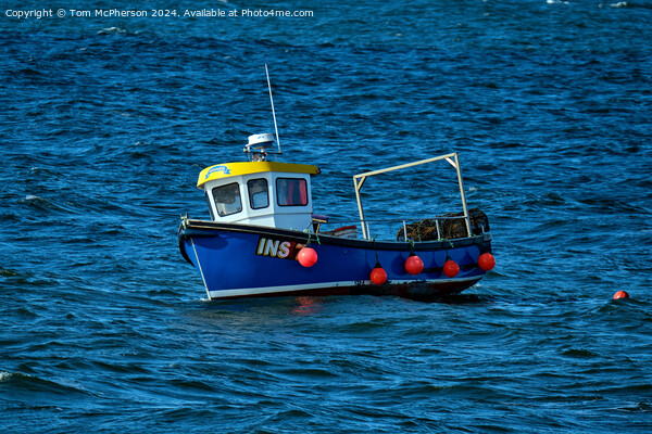 Lobster Fishing Boat Burghead Picture Board by Tom McPherson