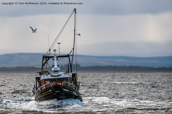 Burghead Fishing Boat 'Trust' Picture Board by Tom McPherson