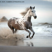 Buy canvas prints of Appaloosa Horse by Tom McPherson