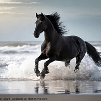 Buy canvas prints of Fresian Horse run through the surf at the beach by Tom McPherson