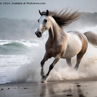 Buy canvas prints of Marwari Horse on beach by Tom McPherson