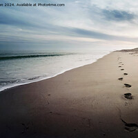 Buy canvas prints of Footprints in the Sand by Tom McPherson