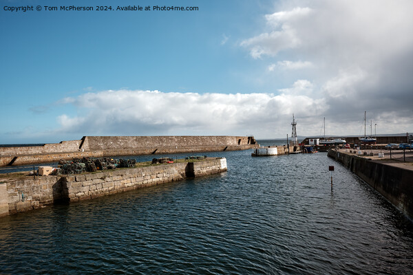 Lossiemouth Harbour Picture Board by Tom McPherson