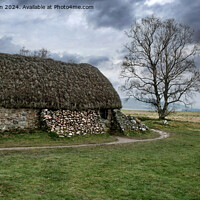 Buy canvas prints of Leanach Cottage, Culloden Battlefield by Tom McPherson