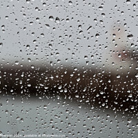 Buy canvas prints of Rain on a Car Window by Tom McPherson