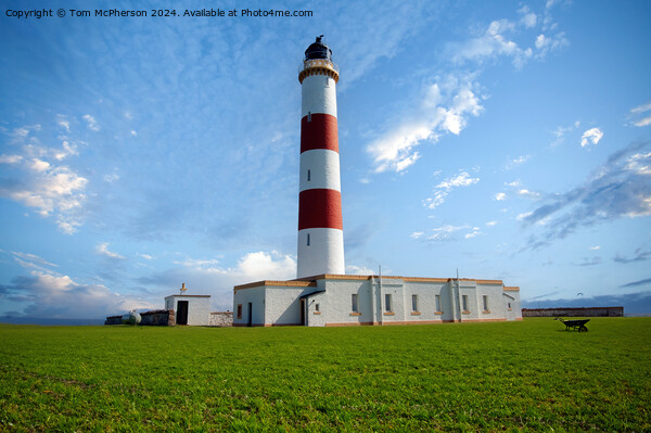 Tarbat Ness Lighthouse  Picture Board by Tom McPherson