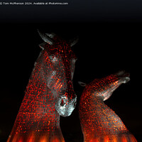 Buy canvas prints of The Kelpies at Night by Tom McPherson