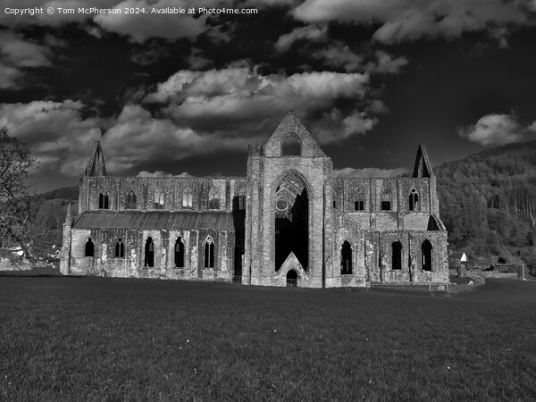 Tintern Abbey Picture Board by Tom McPherson