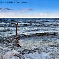 Buy canvas prints of Findhorn Seascape by Tom McPherson