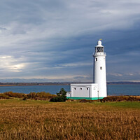 Buy canvas prints of Hurst Point Lighthouse by Tom McPherson