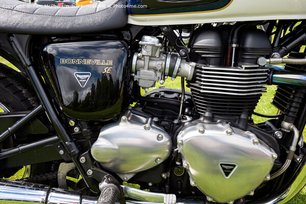 Triumph Bonneville SE Engine Picture Board by Tom McPherson