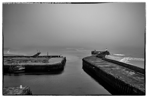 Sea Haar at Burghead Picture Board by Tom McPherson
