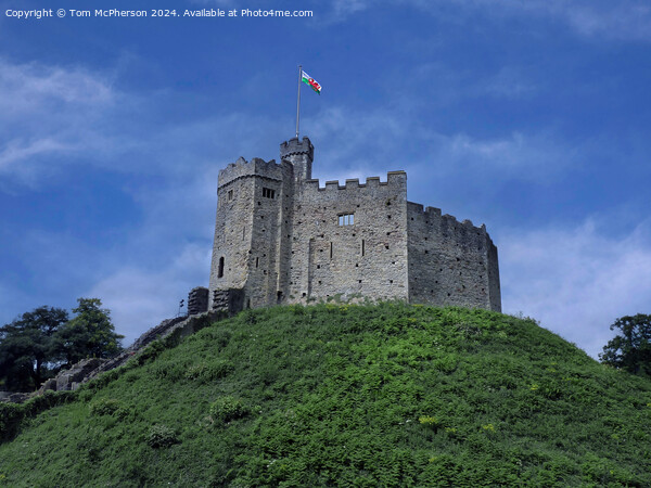 Cardiff Castle Picture Board by Tom McPherson