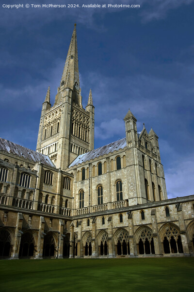 Norwich Cathedral Picture Board by Tom McPherson