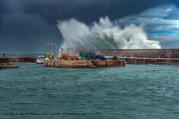 Wild Waves at Hopeman Harbour Picture Board by Tom McPherson