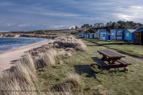 Colourful Beach Huts, Hopeman, Scotland Picture Board by Tom McPherson