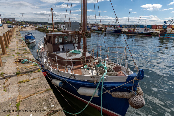 Burghead Harbour Seascape Picture Board by Tom McPherson