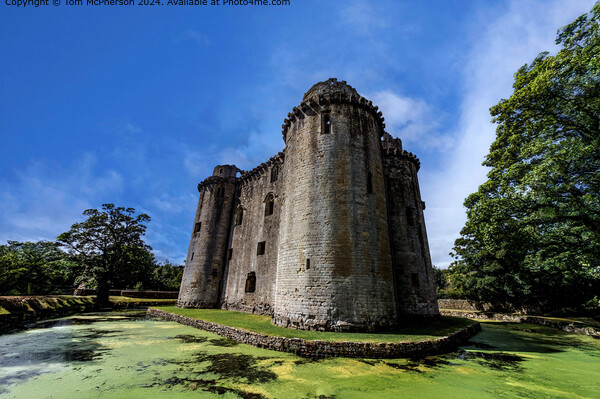 Nunney Castle Somerset Ruins Picture Board by Tom McPherson