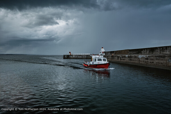 Burghead Harbour Fishing Trips Picture Board by Tom McPherson