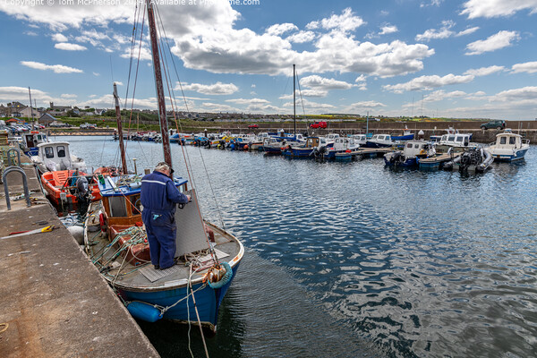 Hopeman is a seaside village and harbour in Moray, Scotland Picture Board by Tom McPherson