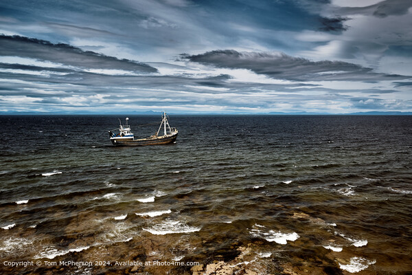 Serene seascape  Picture Board by Tom McPherson