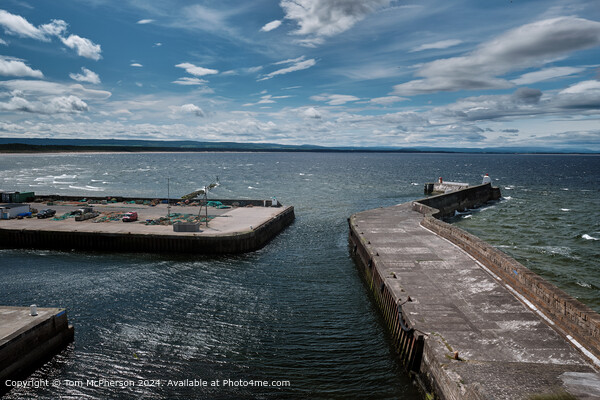 Burghead harbour  Picture Board by Tom McPherson