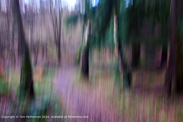 Abstract, Dreamy, Autumn Trees Picture Board by Tom McPherson