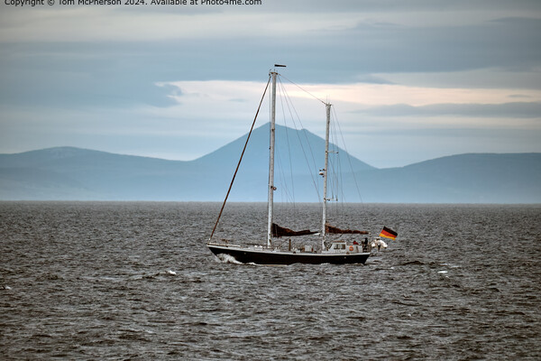 Moray Firth Sailing Past Mor Ven Picture Board by Tom McPherson