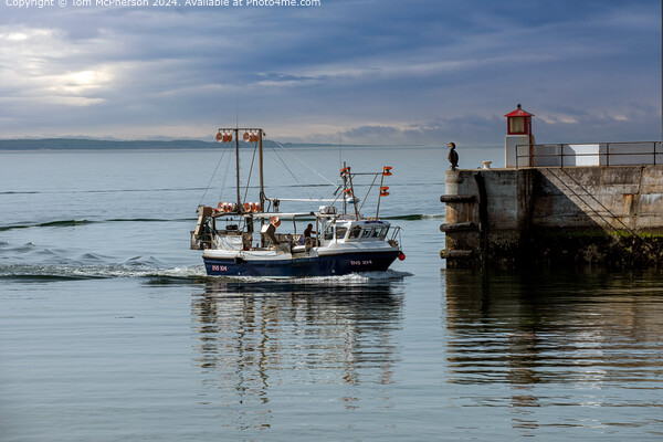 Moray Lass Burghead Harbour Picture Board by Tom McPherson