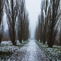 Buy canvas prints of Symetric walk path in fog by Dalius Baranauskas