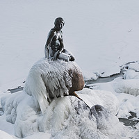 Buy canvas prints of Frozen canal near statue of The Little Mermaid in  by Dalius Baranauskas