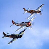 Buy canvas prints of Fury, Thunderbolt and Mustang by David Jeffery