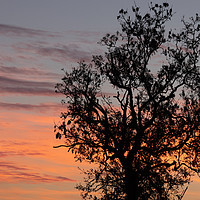 Buy canvas prints of Sunset Sky over Uttoxeter by David Jeffery