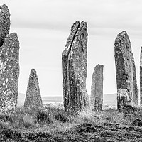 Buy canvas prints of Ring of Brodgar by David Jeffery