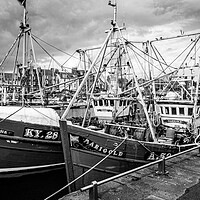 Buy canvas prints of Ubique and Marigold, Arbroath Harbour by David Jeffery