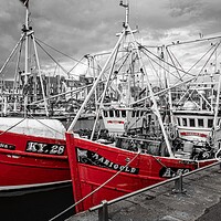 Buy canvas prints of Ubique and Marigold, Arbroath Harbour (2) by David Jeffery