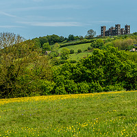 Buy canvas prints of High Tor Buttercups, Matlock, Derbyshire by Lisa Hands