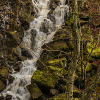 Buy canvas prints of Waterfall, Padley Gorge, Derbyshire by Lisa Hands