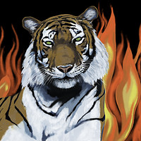 Buy canvas prints of Tiger! Tiger! burning bright by Lisa Hands