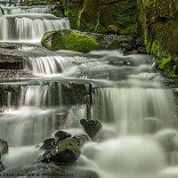 Buy canvas prints of Silver Cascade by Lisa Hands