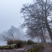 Buy canvas prints of Foggy Longshaw Pond by Lisa Hands