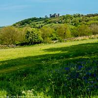 Buy canvas prints of Riber Castle and Bluebells by Lisa Hands