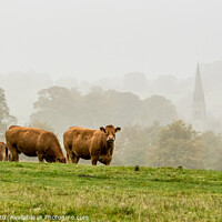 Buy canvas prints of Misty Derbyshire by Lisa Hands