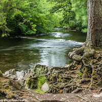 Buy canvas prints of River Llugwy, Betws-y-Coed, Wales by Lisa Hands