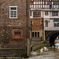 Buy canvas prints of River Witham, Lincoln by Lisa Hands