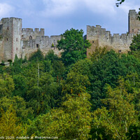 Buy canvas prints of On top of the hill - Ludlow Castle by Lisa Hands